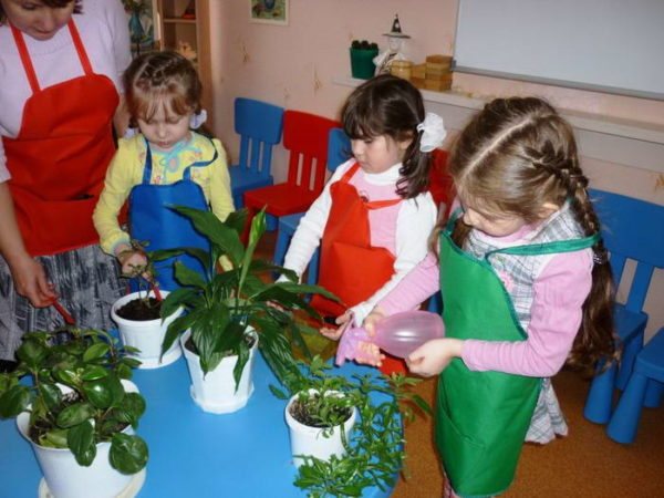 Children, under the supervision of a teacher, care for plants
