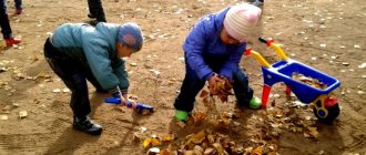 Дети убирают сухие листья во дворе