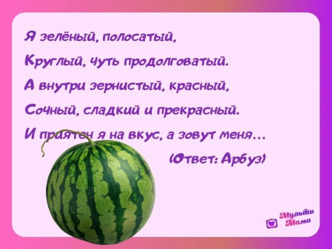 children&#39;s riddles about fruits
