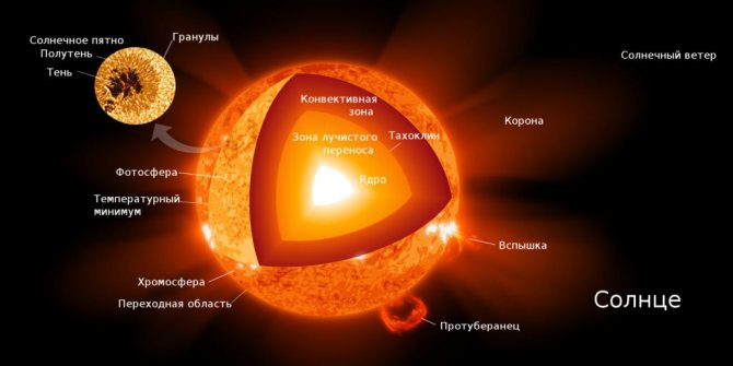 Диаграмма внутреннего строения Солнца.