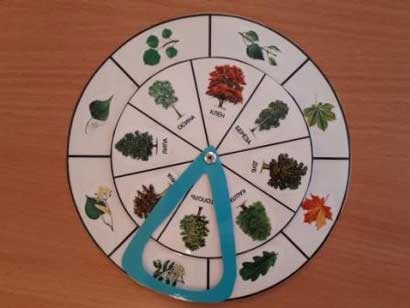 Didactic game “Which tree is the leaf from”