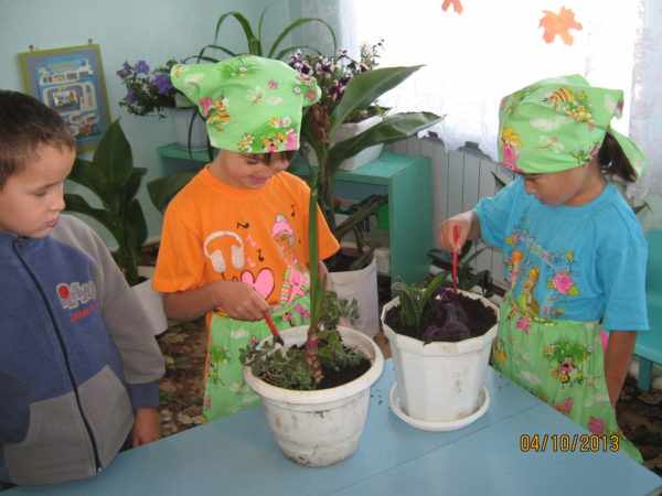 Two girls in aprons and scarves take care of indoor plants, a boy watches