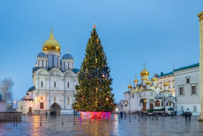 Christmas tree on Cathedral Square in the Kremlin.jpg