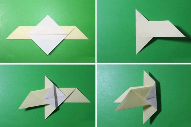 Origami dove: folding stages 5-8