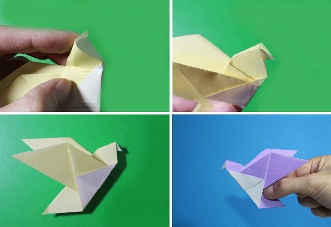 Origami dove: folding stages 9-12