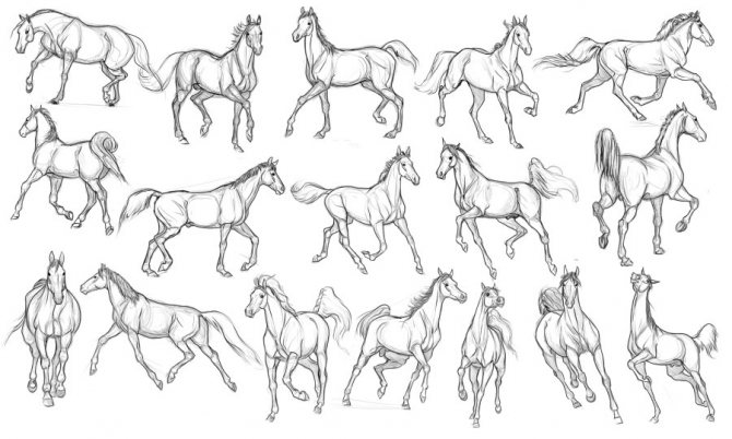 Как нарисовать лошадь: простой способ для начинающих