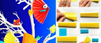 How to make a paper fish with your own hands, fish template for cutting
