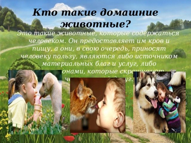What are pets? These are animals that are kept by humans. He provides them with shelter and food, and they, in turn, bring benefits to people, are either a source of material goods and services, or companions who brighten up human leisure time. 