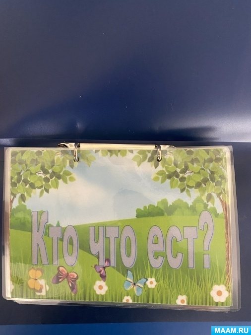 Lapbook “Who eats what” in the first junior group “Domestic and wild animals”