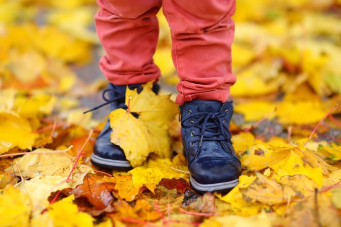 Листья под ногами