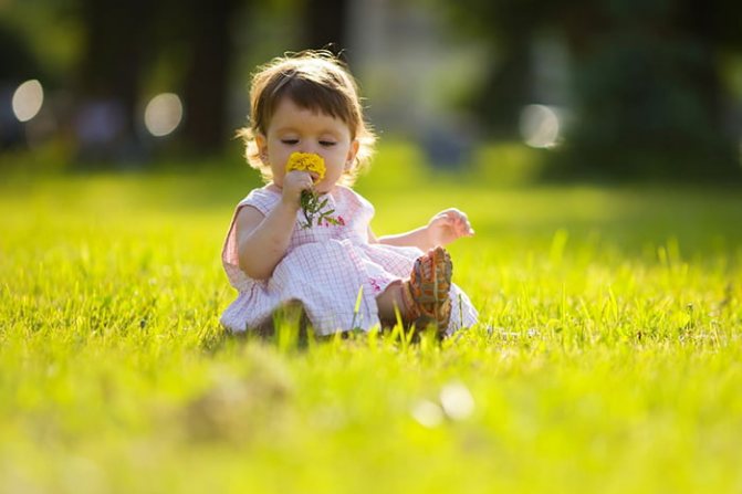 Little girl on the lawn smelling a flower