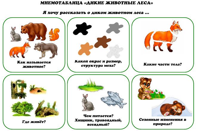 Mnemonic table Wild animals