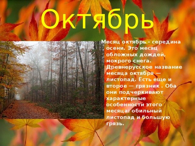 October The month of October is mid-autumn. This is a month of heavy rains and sleet. The Old Russian name for the month of October is leaf fall. There is also a second one - muddy. Both of them highlight the characteristic features of this month: abundant leaf fall and great mud. 