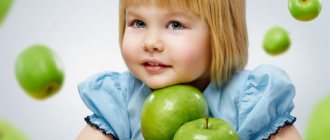 Organization of proper nutrition in kindergarten