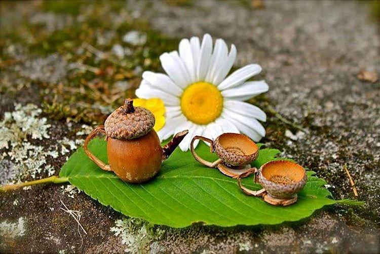 Crafts made from natural materials for kindergarten - photos and ideas