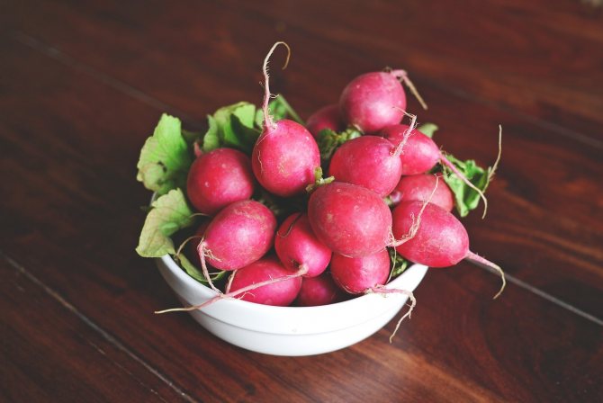 Benefits of radishes