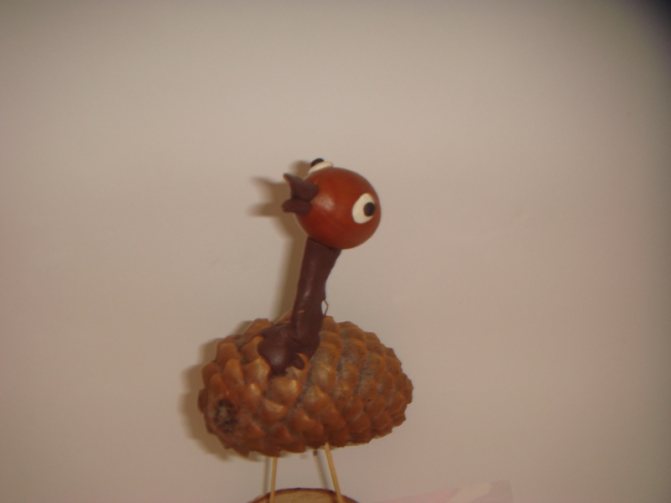 Birds made from pine cones: children&#39;s crafts made from natural materials