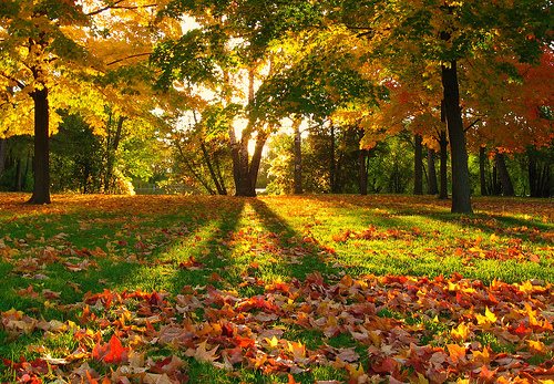 Drawing on the theme of autumn in kindergarten