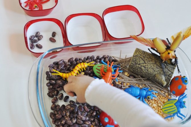 Sensory boxes with cereals
