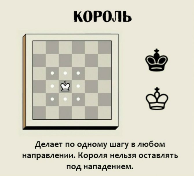 шахматы правила для начинающих