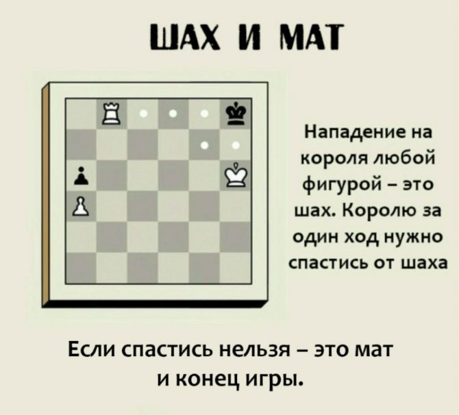 Шахматы правила для начинающих