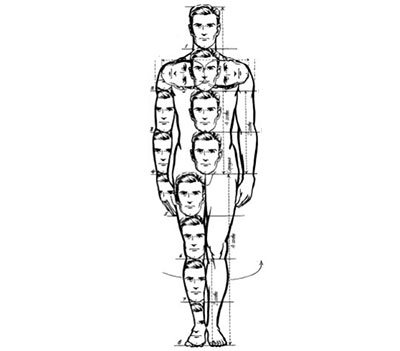 Schematic representation of a person with his proportions measured using heads