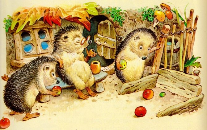 fairy tales about animals, hedgehog and hare, illustrations for fairy tales