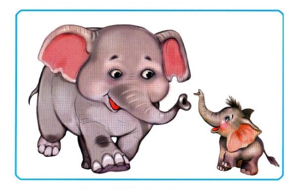 Elephant and baby card