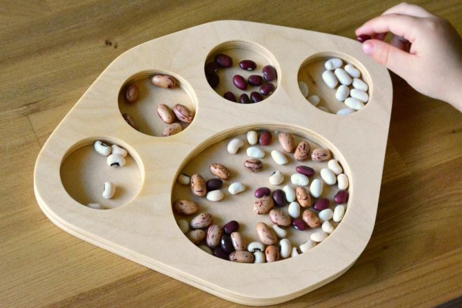 Sorting – complicated Montessori games for children from 2 years old