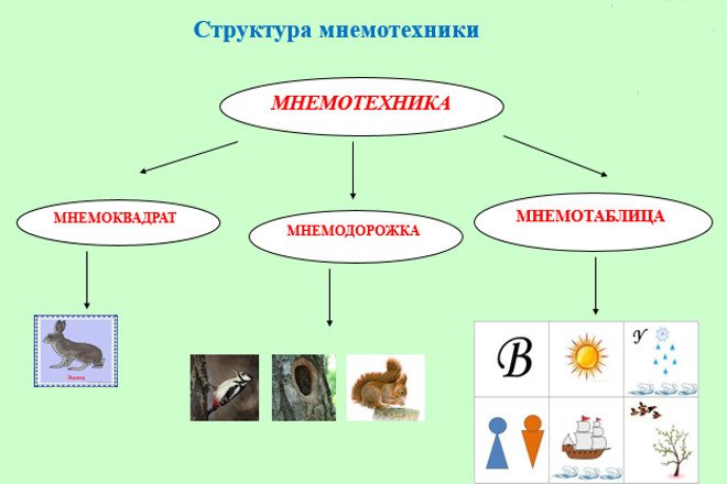 Structure of mnemonics