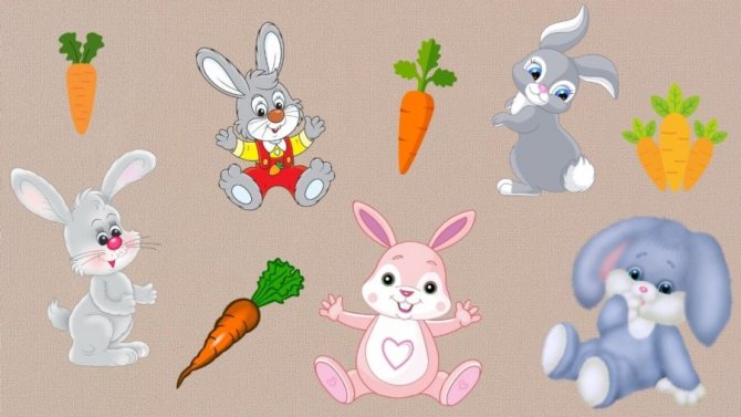 Bunnies and carrots